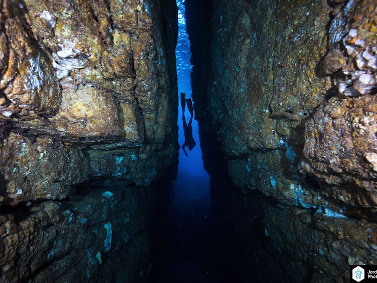 freediving, snorkelling, sea caves, Jervis Bay, NSW, Boat expedition, tour operators