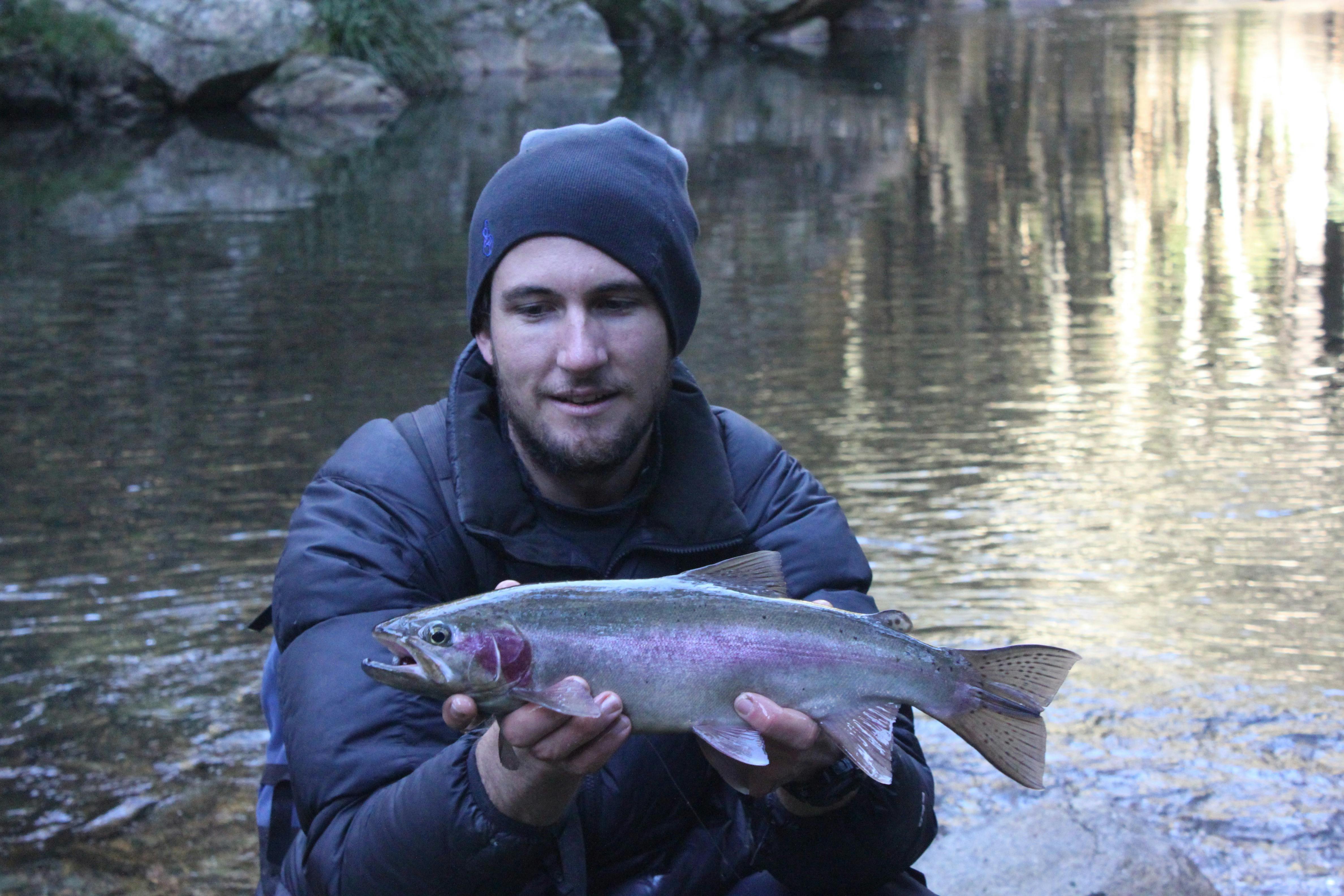 Trout fishing tour near Sydney