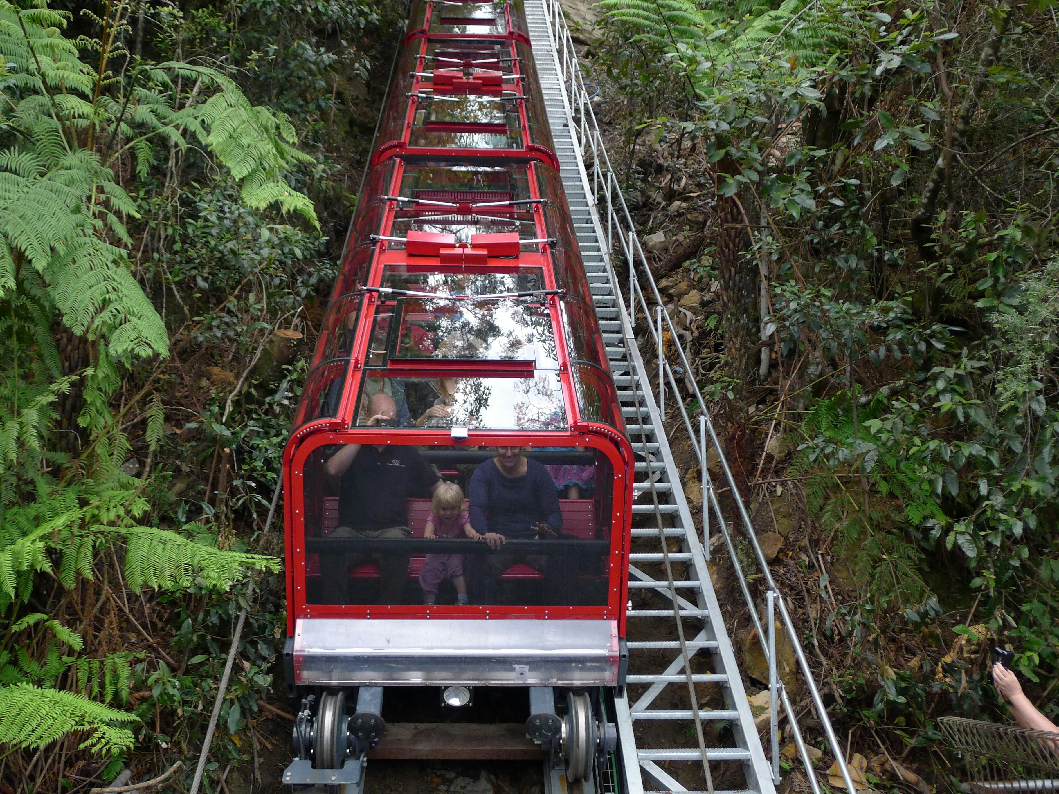 Scenic World
