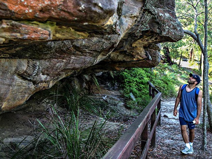 Aboriginal heritage walk, Ku-ring-gai Chase National Park. Photo: Andrew Richards/OEH