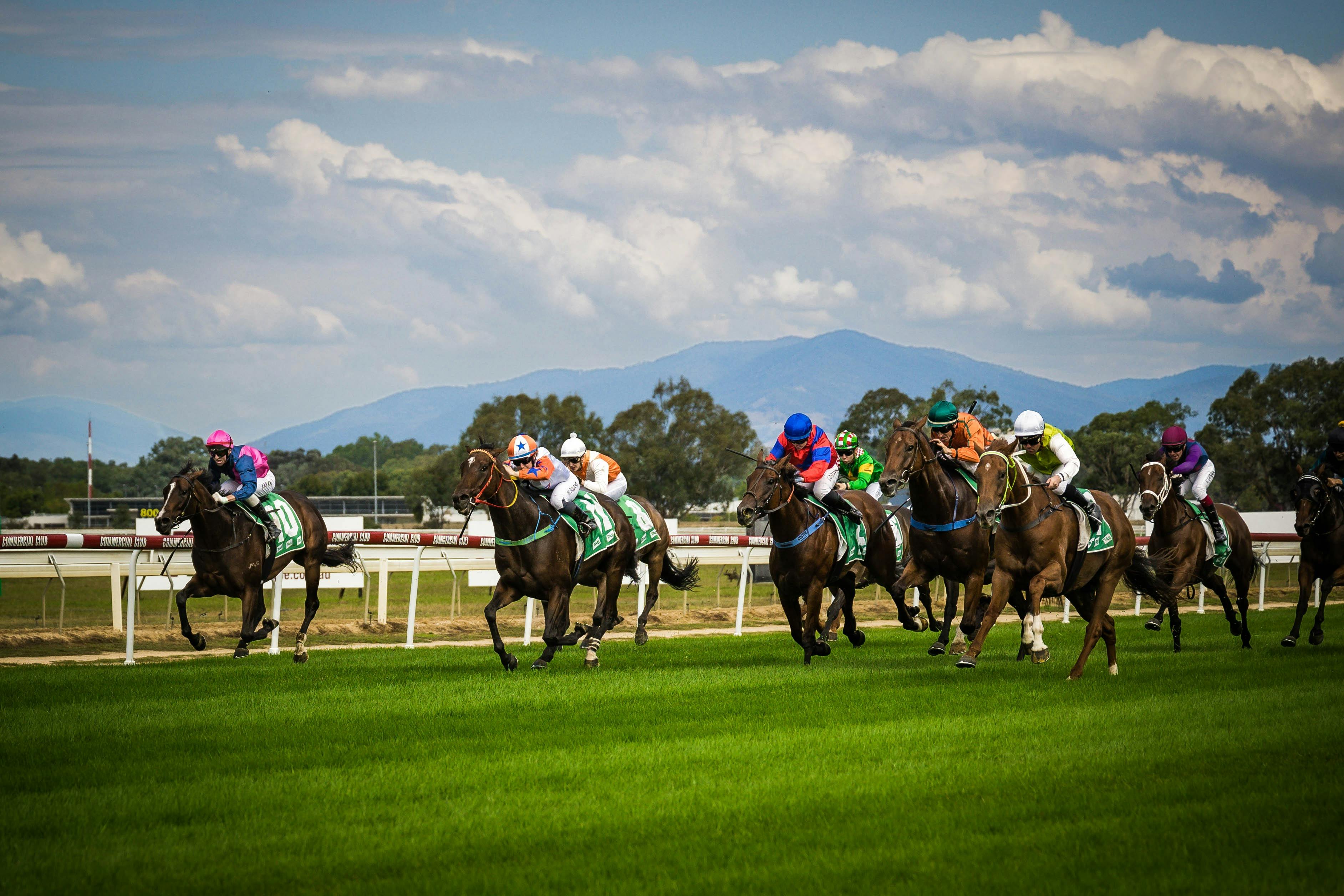 horses racing
