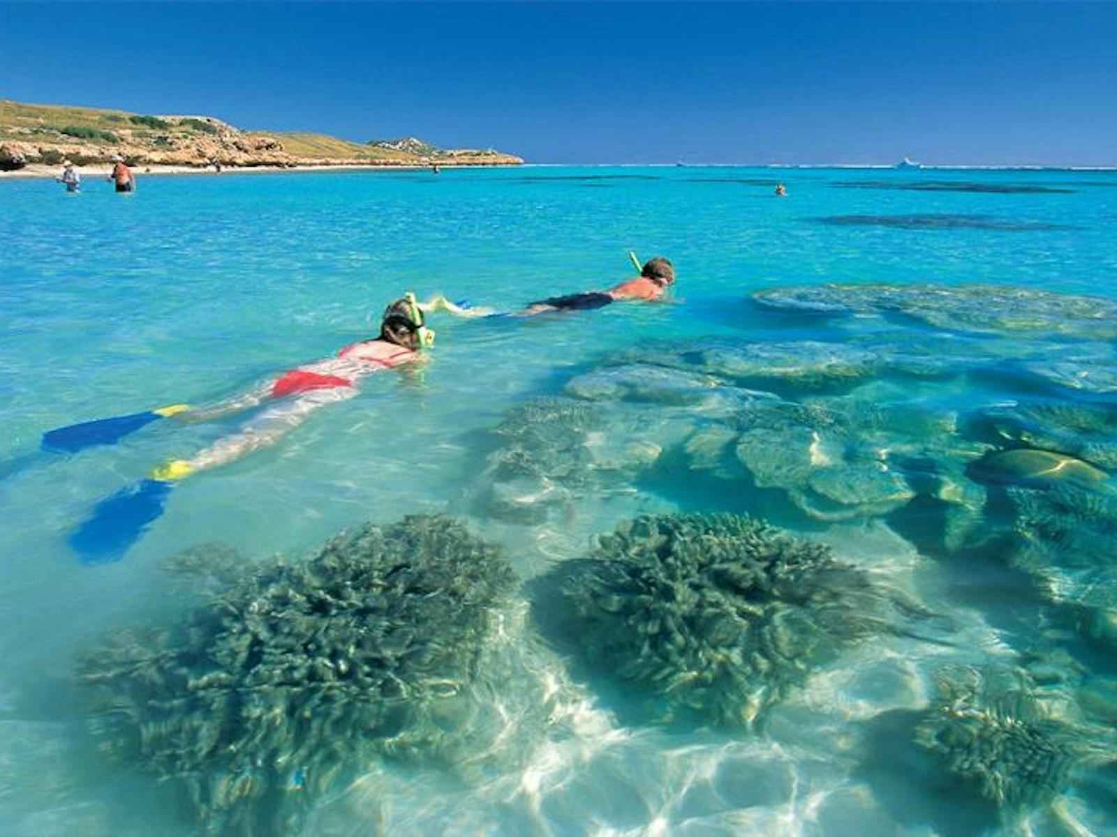 WA Coral Bay Snorkelling