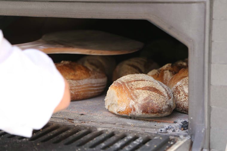 Barossa Butcher Baker Winemaker Trail