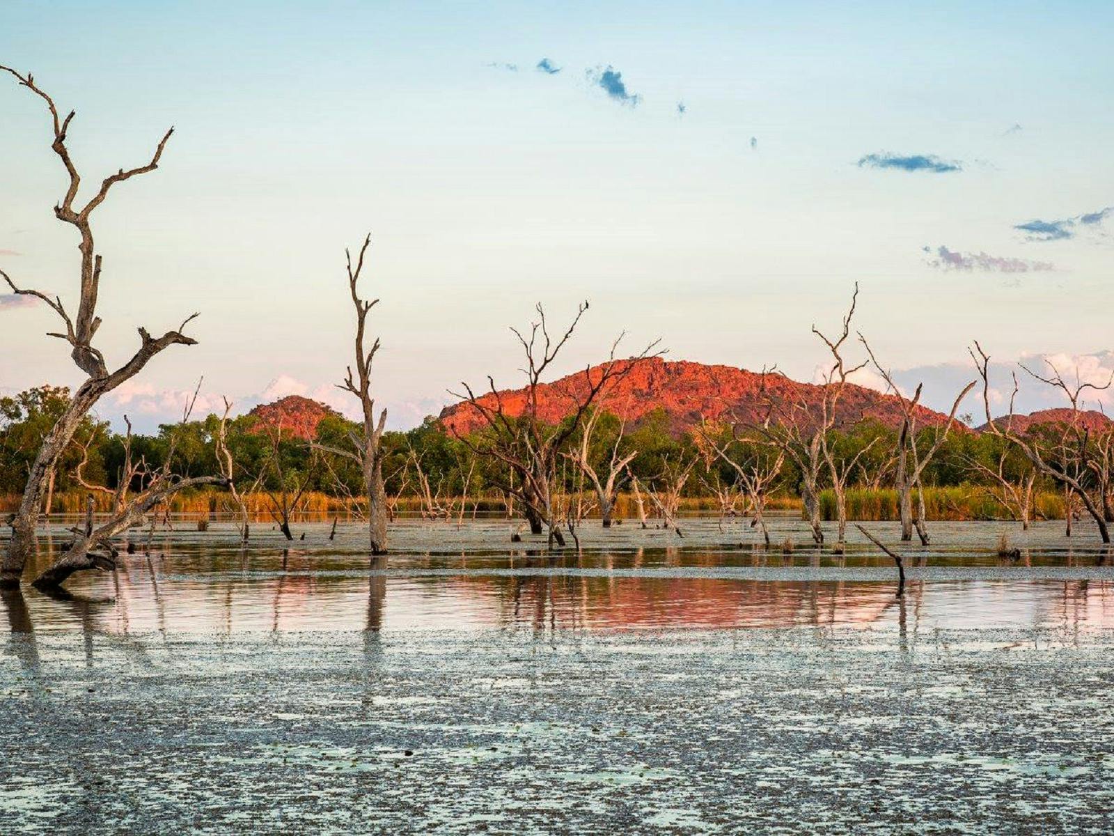 Lily Creek Lagoon, Kununurra, Western Australia