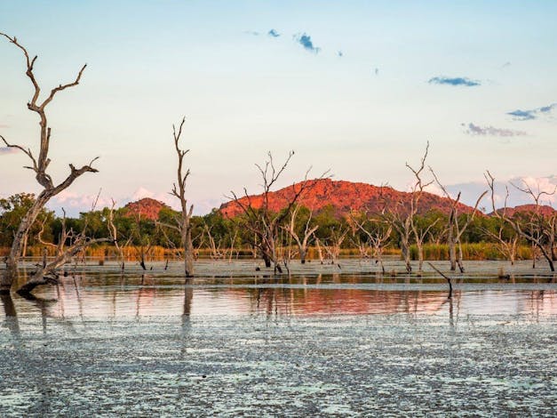 Lily Creek Lagoon