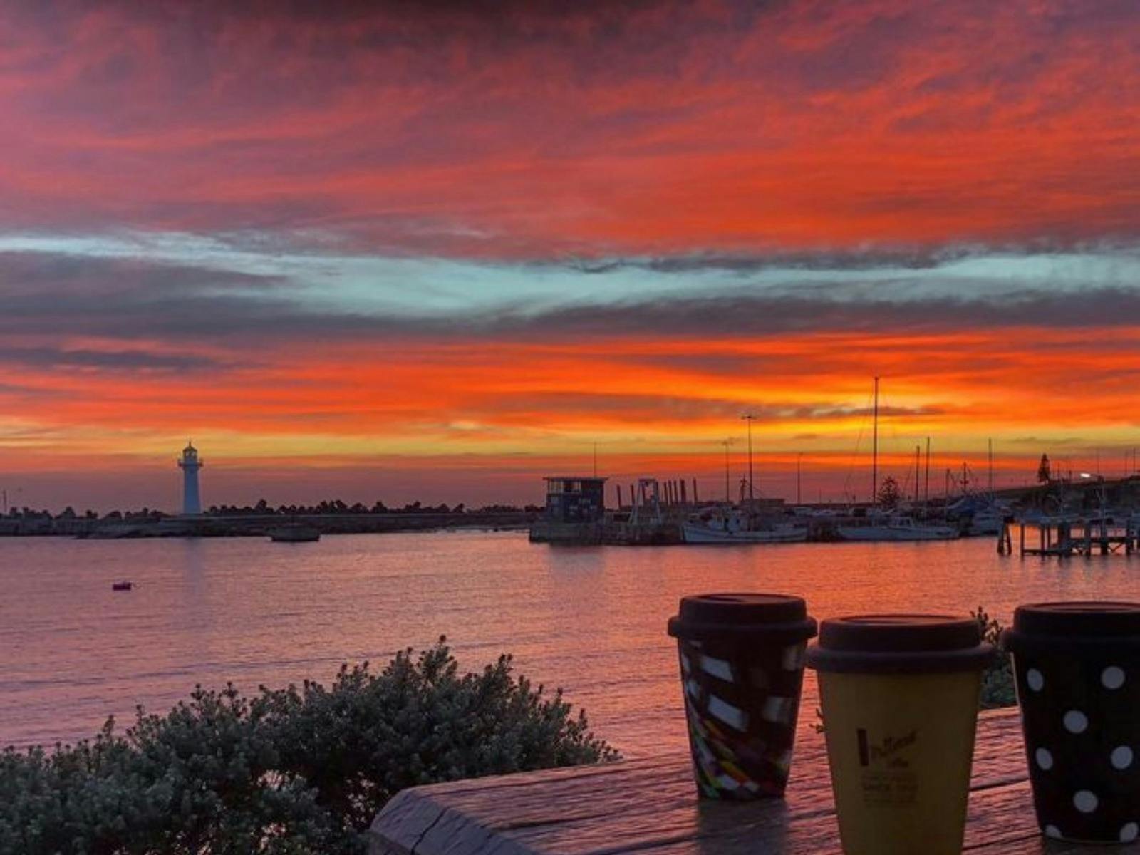 萊文迪臥龍崗港