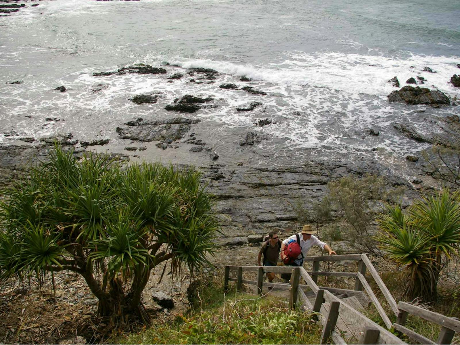 Wanderweg von Illaroo nach Wooli, Yuraygir-Nationalpark. Foto: Debra Novak