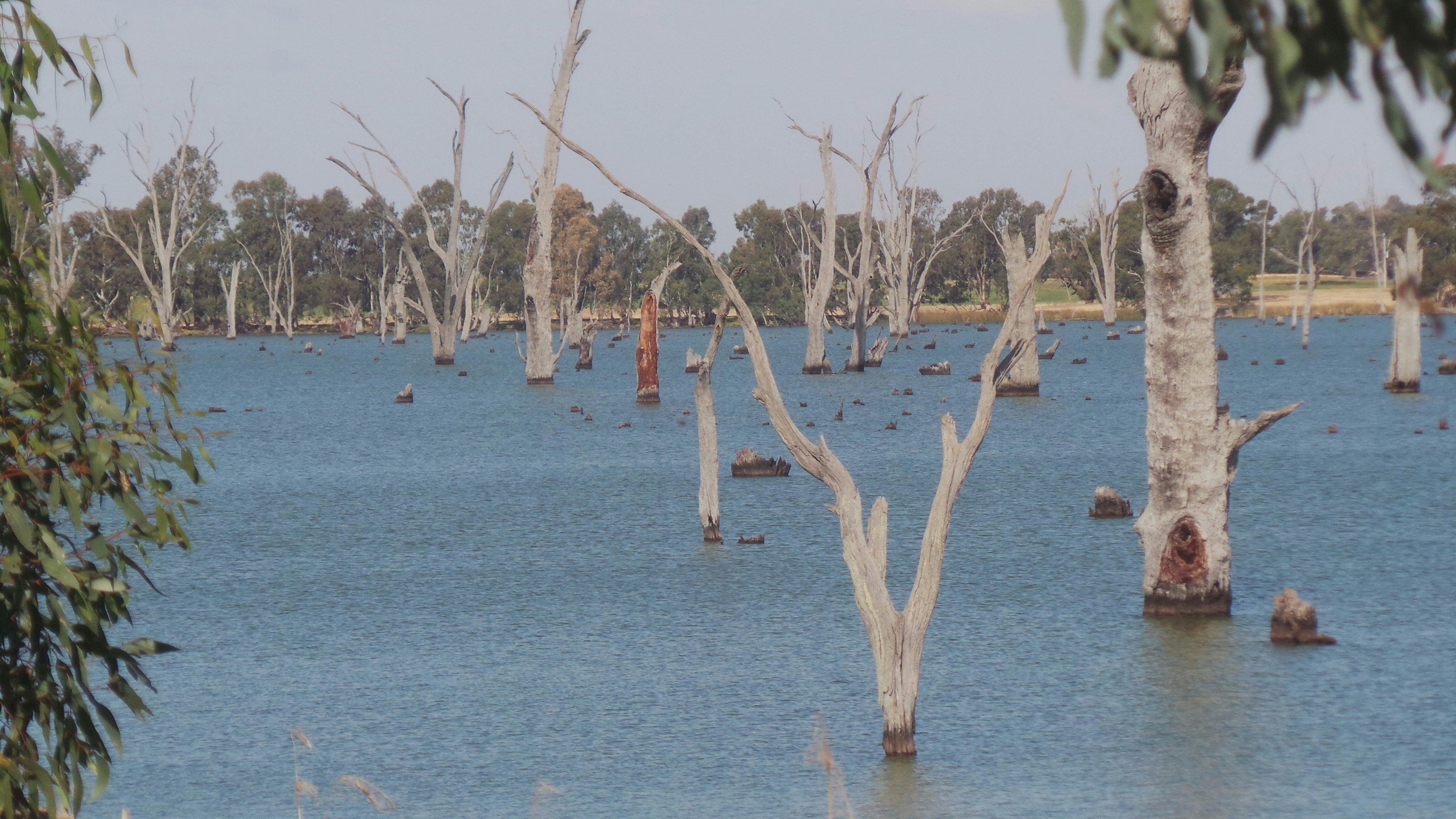 Fishng boating or just relaxing at Kyffins Reserve