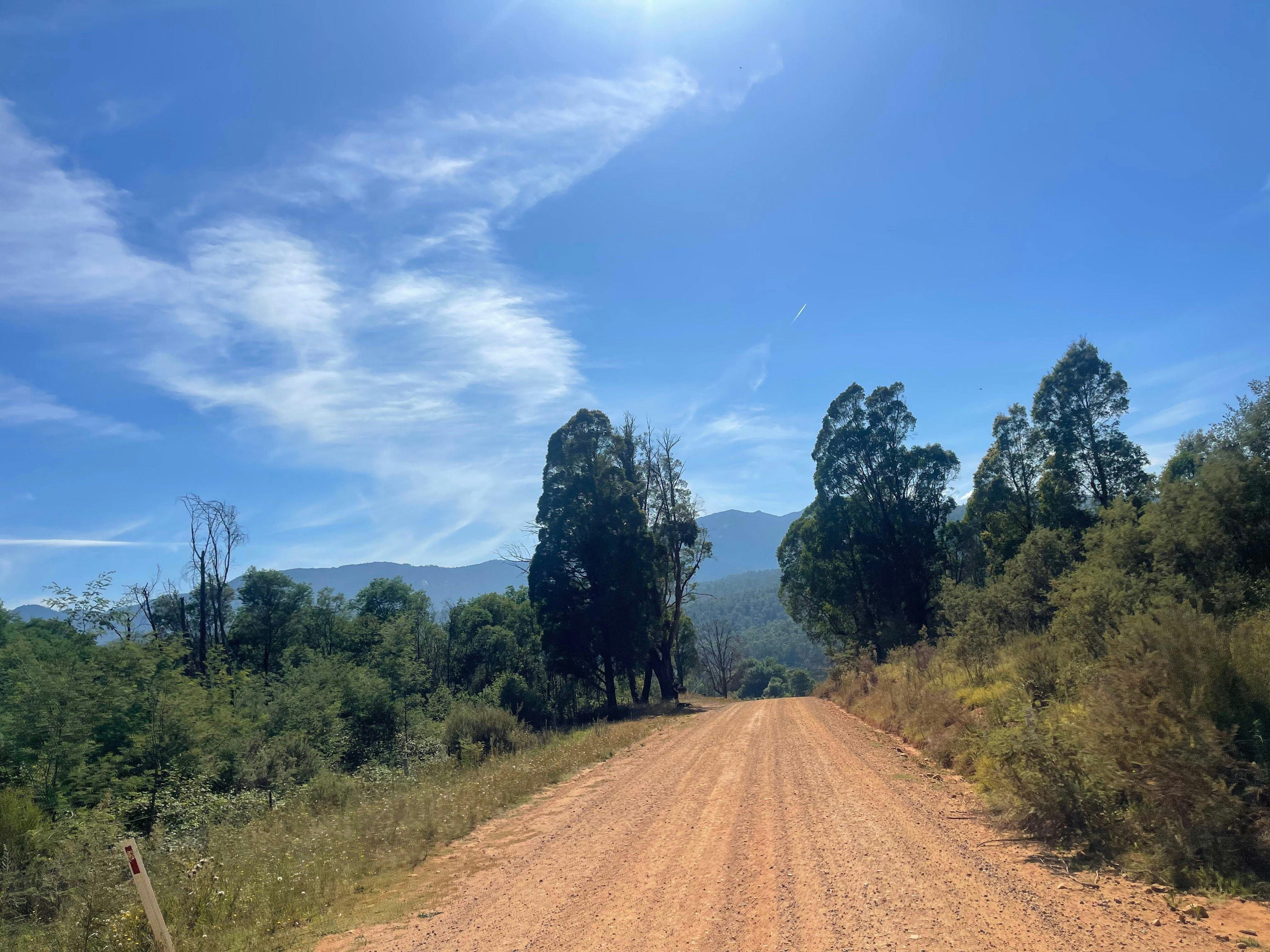 Rusty in coloured gravel road, bushes on both sides, trees, mountains, blue sky with wispy clouds
