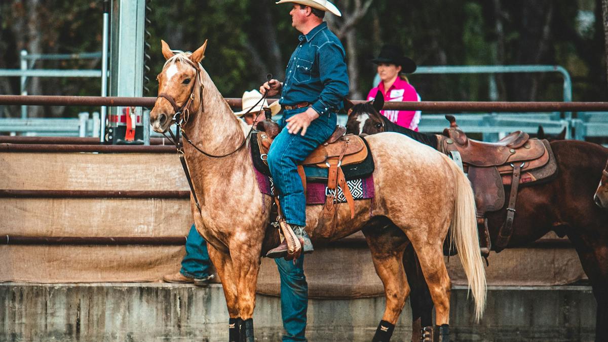 North Queensland Elite Rodeo | Events | Queensland