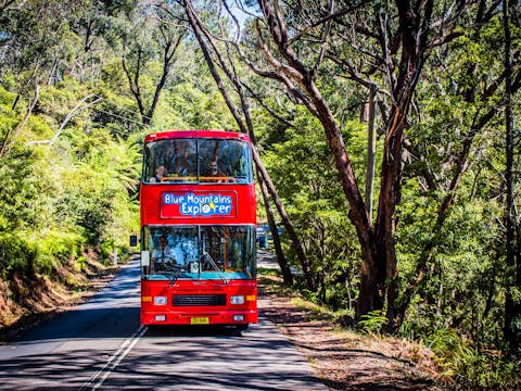 Blue Mountains Explorer Bus