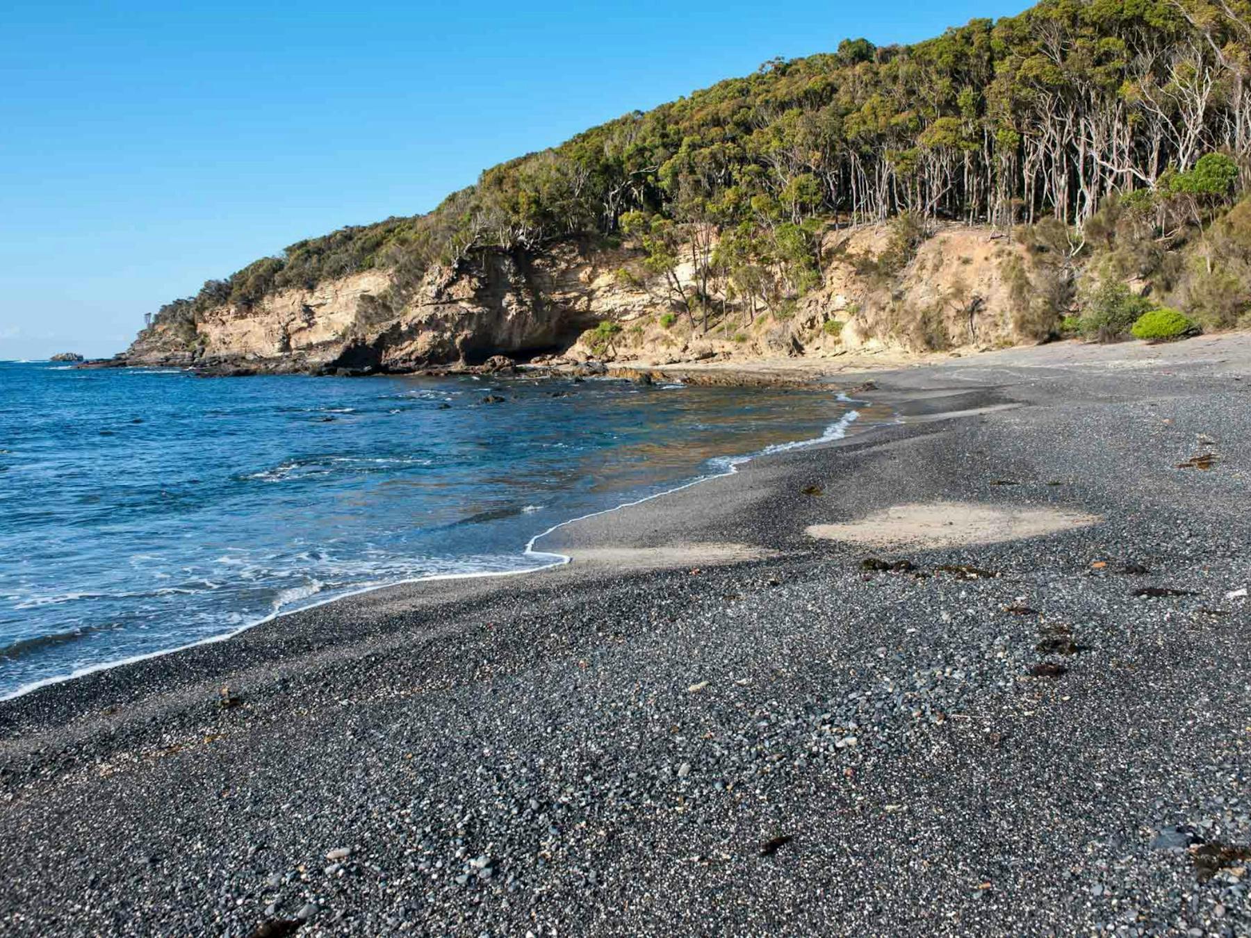Darks Beach walking track, Murramarang National Park. Photo: Michael van Ewijk