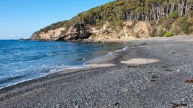 Dark Beach Walking Track