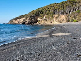 Dark Beach Walking Track
