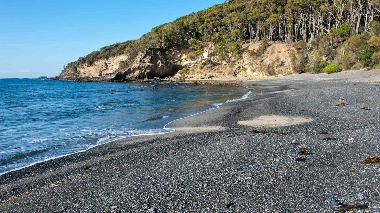 Dark Beach Walking Track