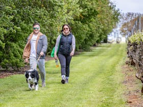 A couple walk their dog along the Coonawarra Walking Trail
