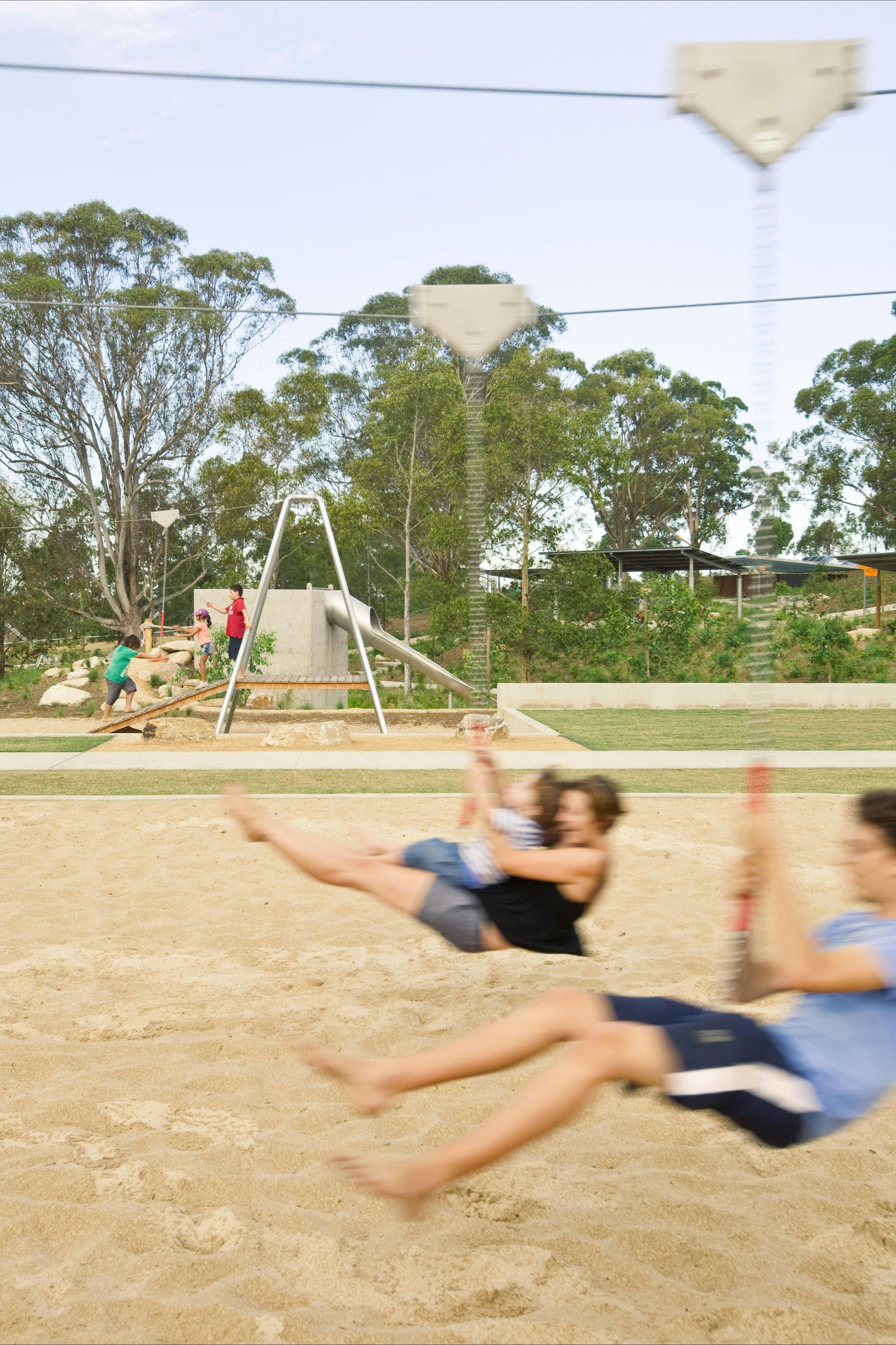 西悉尼公園的蜥蜴原木