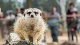 Taronga Western Plains Zoo, Dubbo