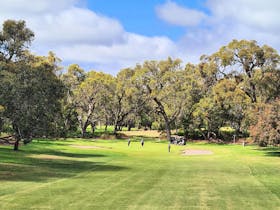 10th Green - Par 5 - Blue Tees 460 metres, Red Tees 423 metres