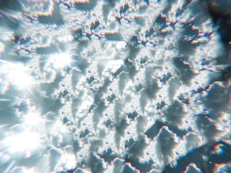 Image for Warm Mids Afternoon - Ambient Mini-Festival