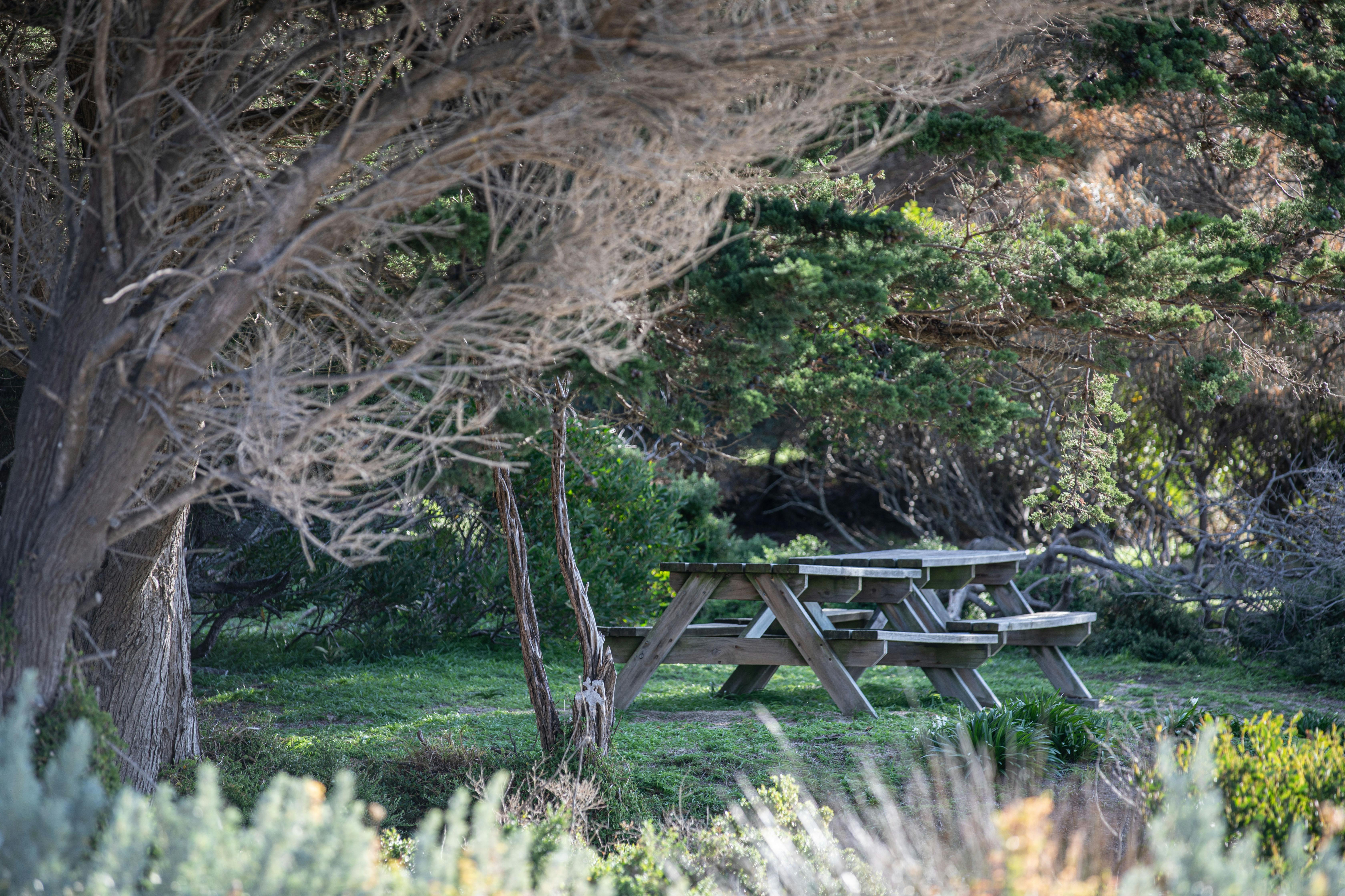 Killiecrankie BBQ Picnic Area