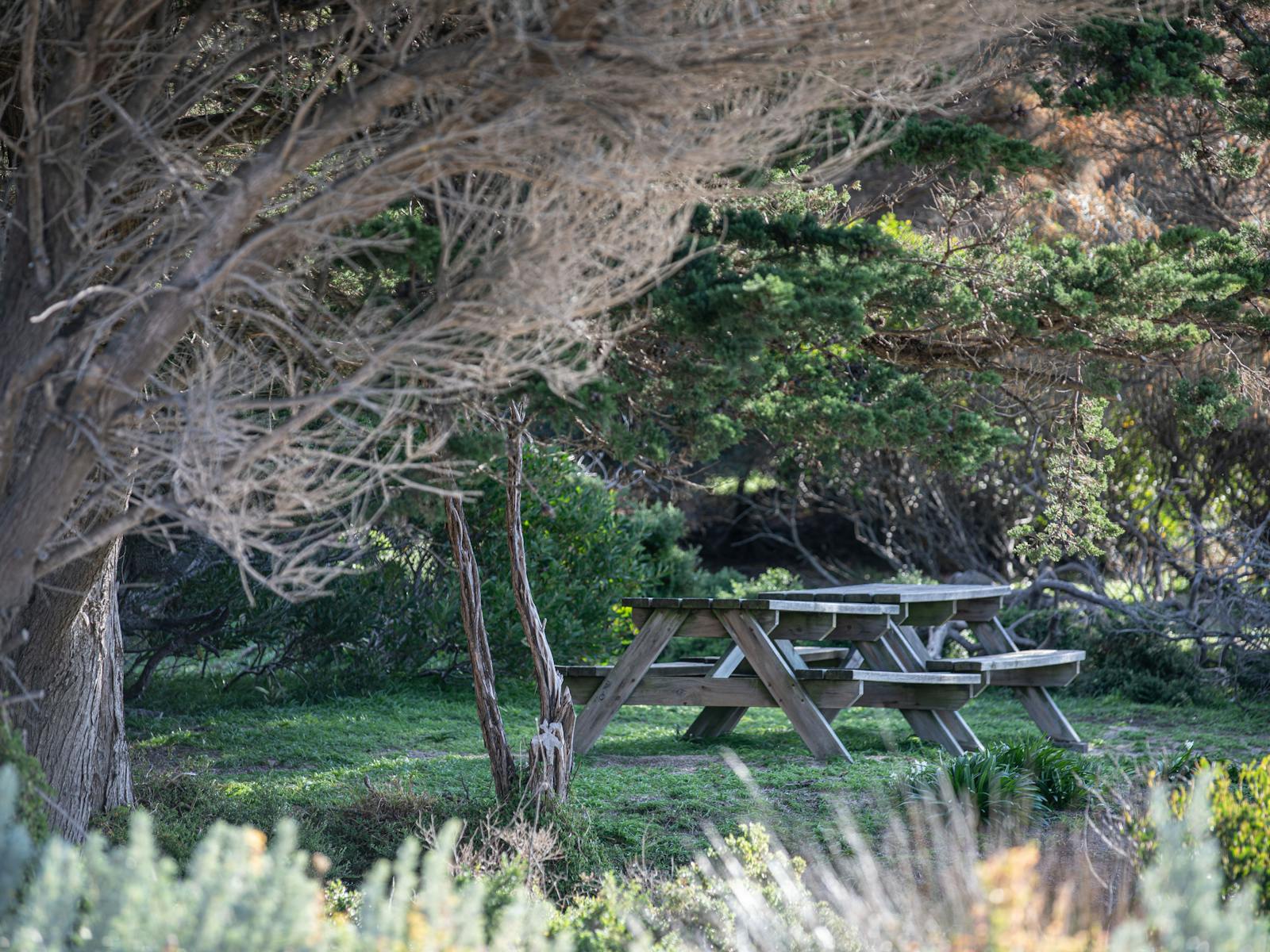 Killiecrankie BBQ Picnic Area