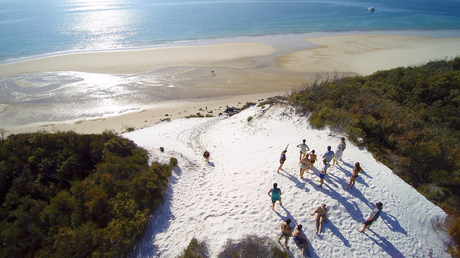 View from an Ancient Sand Dune Fraser Island