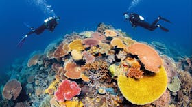 Agincourt Reef