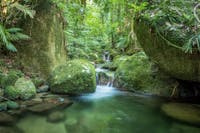 Mossman Gorge Adventure Day tour