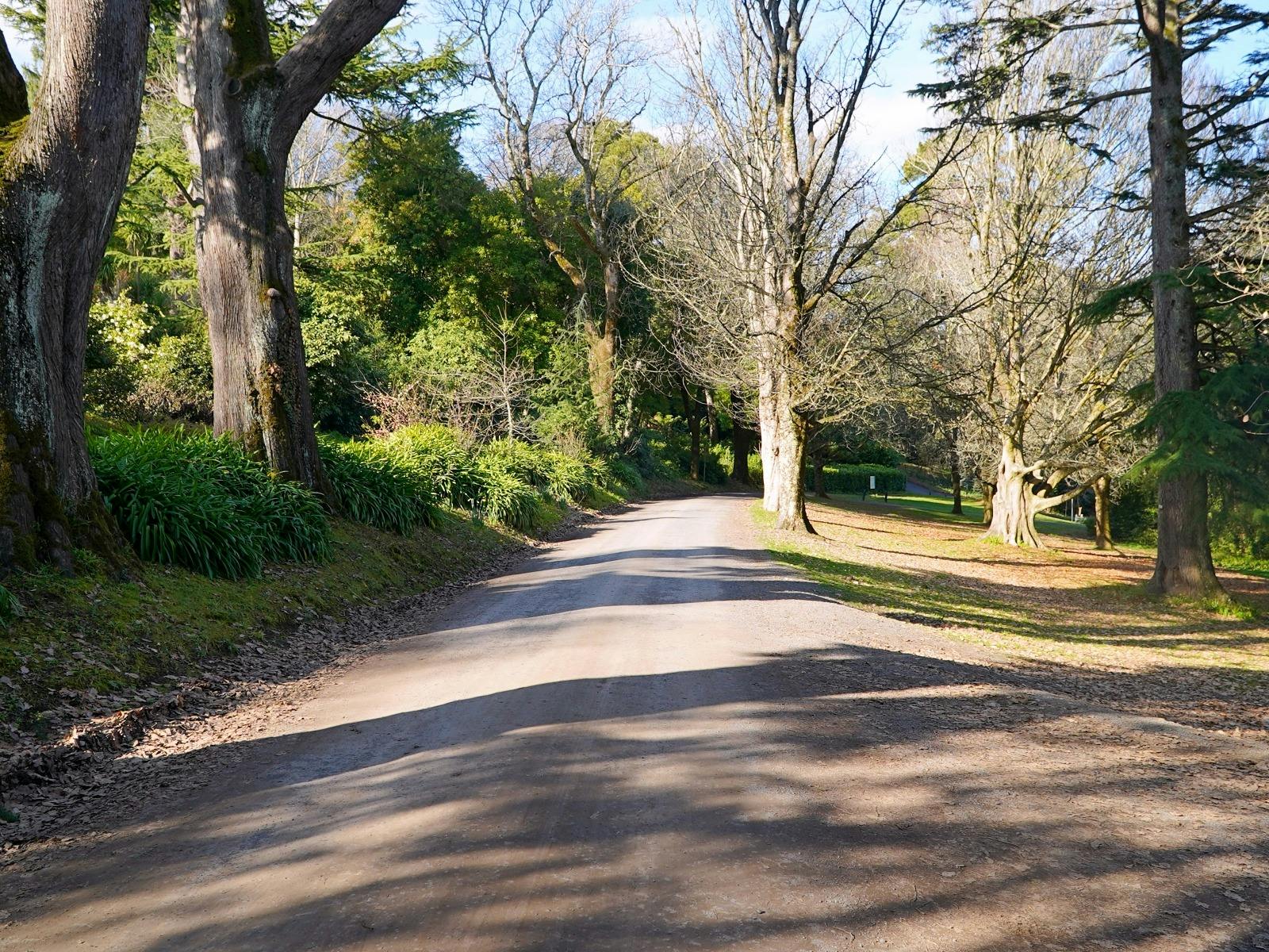 Wombat Hill Gardens