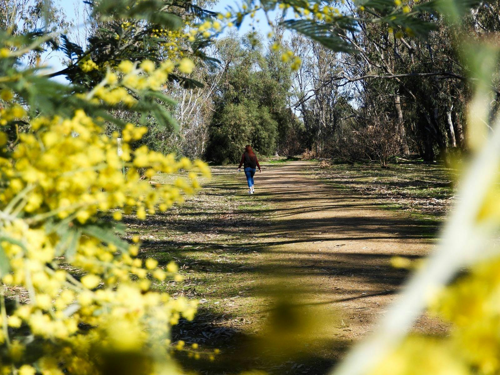 ゴーマンパークスプリング