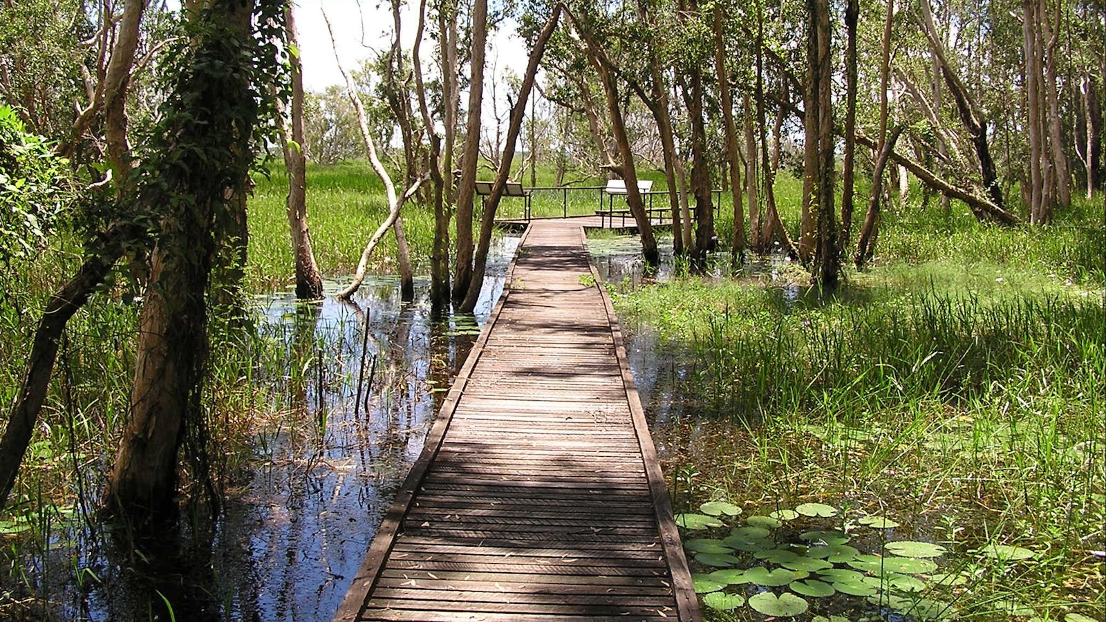 Fogg Dam Conservation Reserve