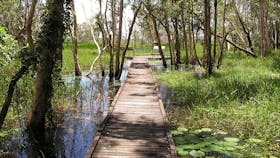 Fogg Dam Conservation Reserve