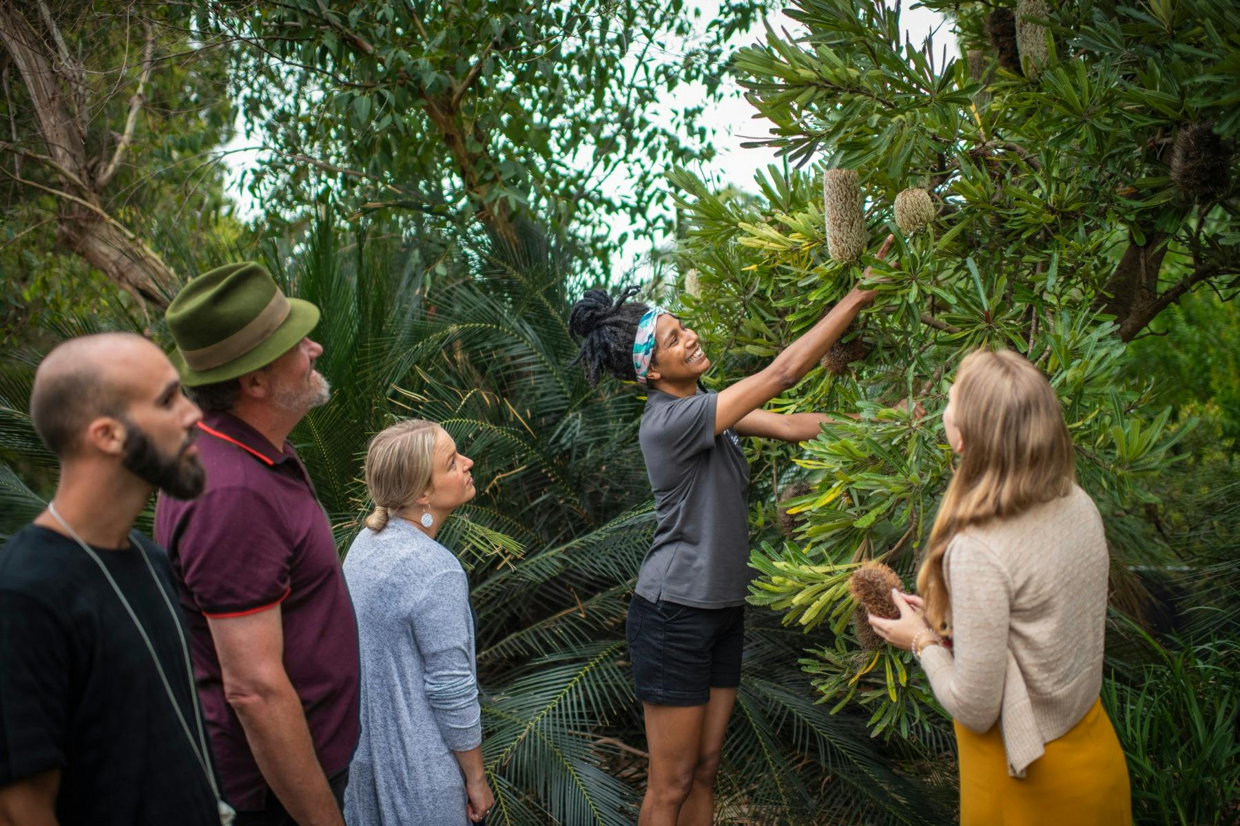 Aboriginal harbour heritage tour