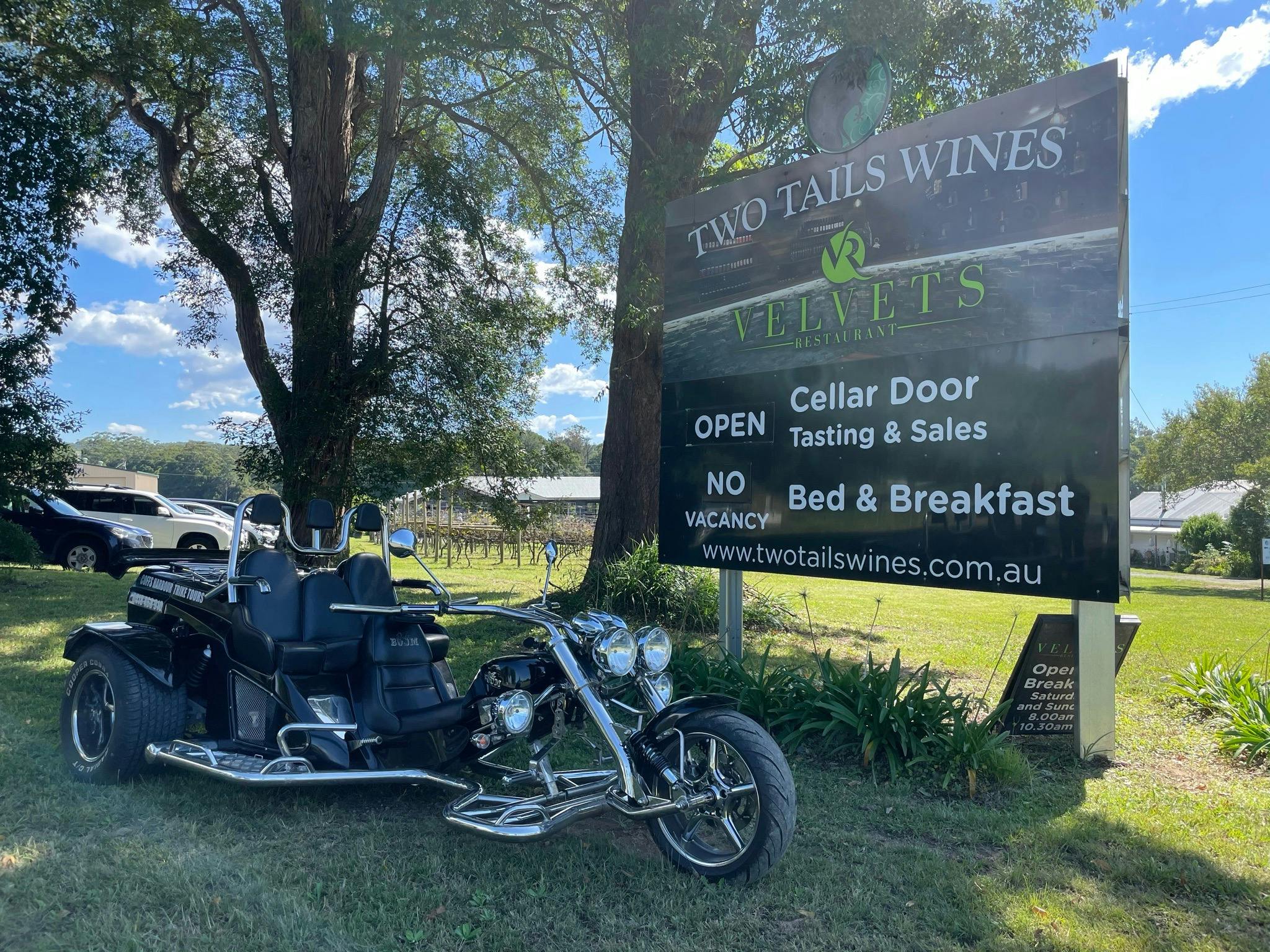 현지 와이너리 투어