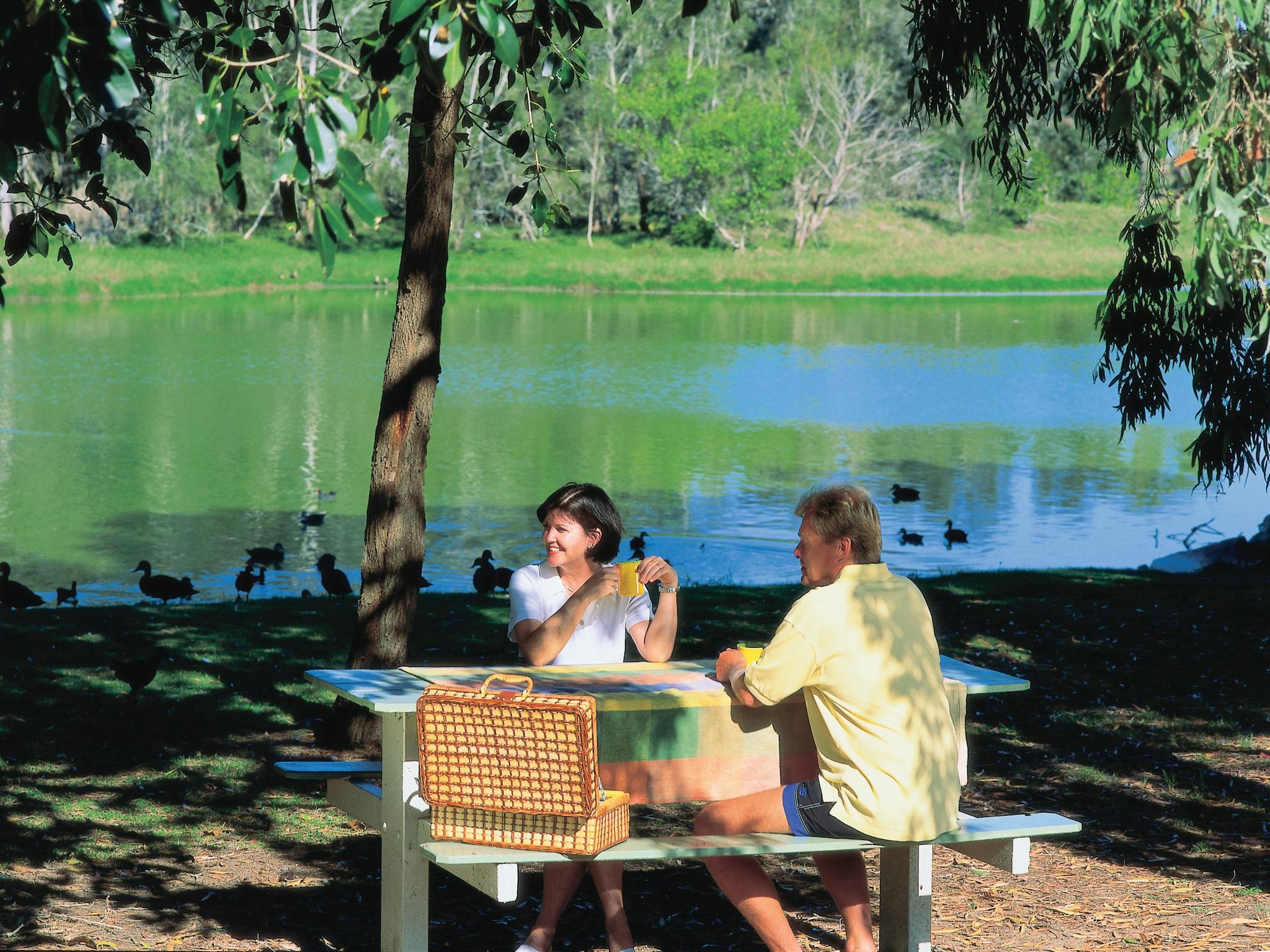 Moore Park Lagoon Moore Park Lagoon
