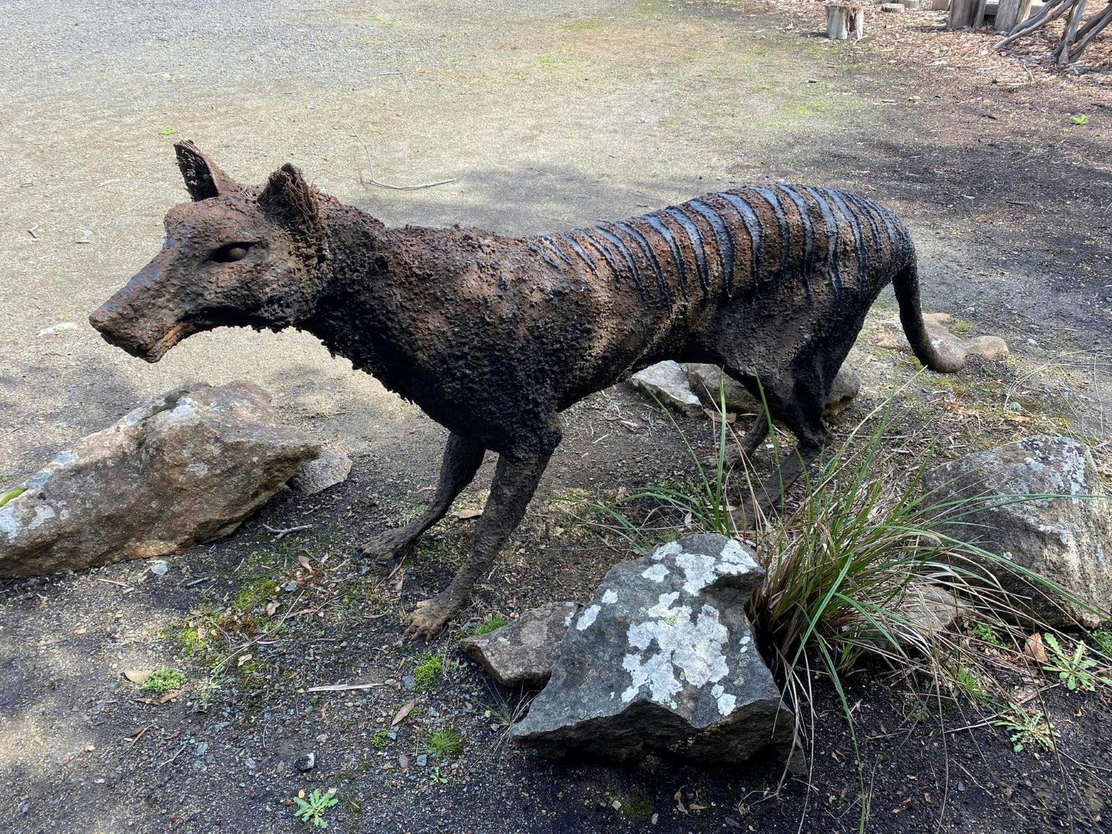 Buckland Bushland Garden