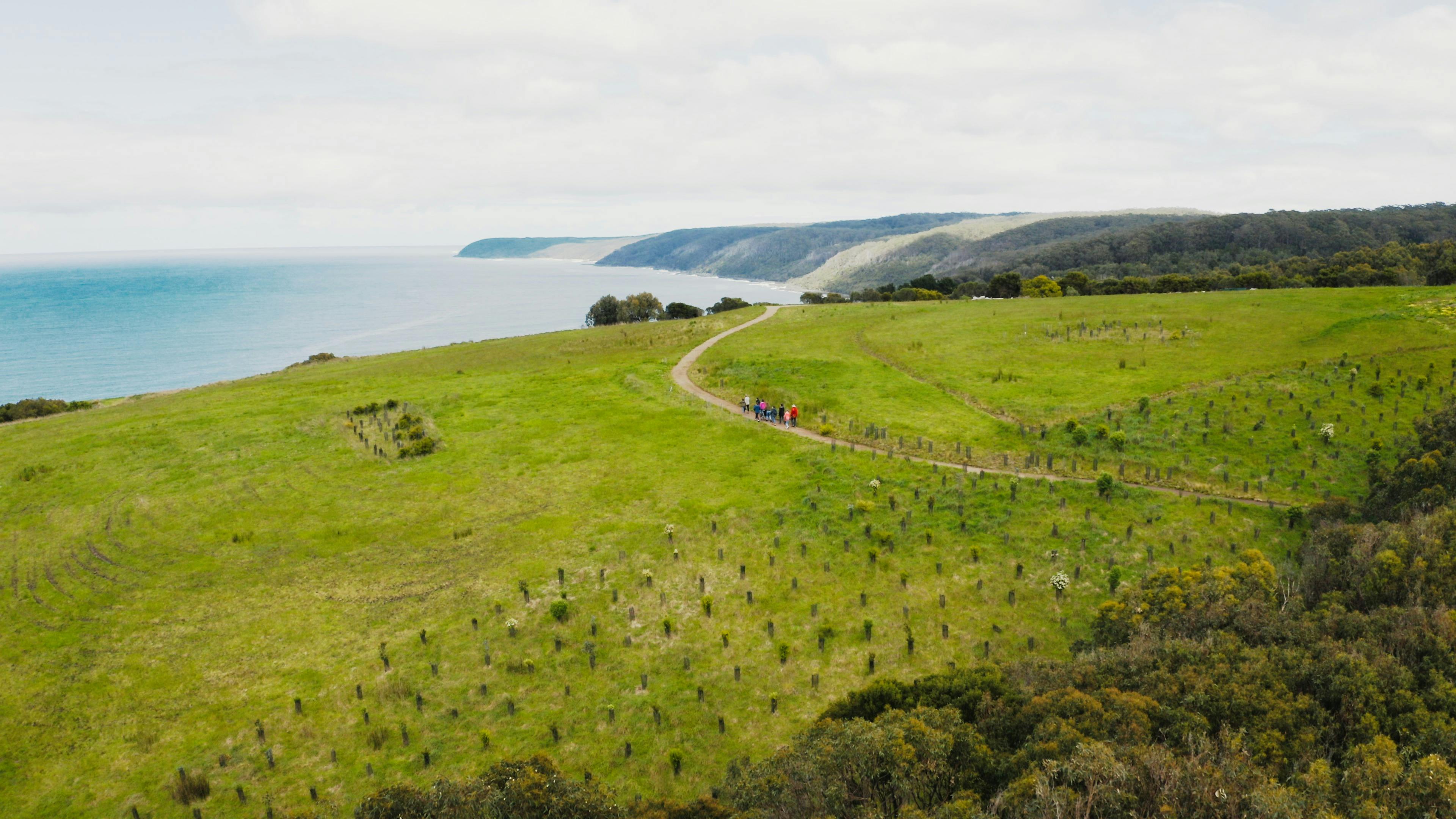 View from Wildlife Wonders