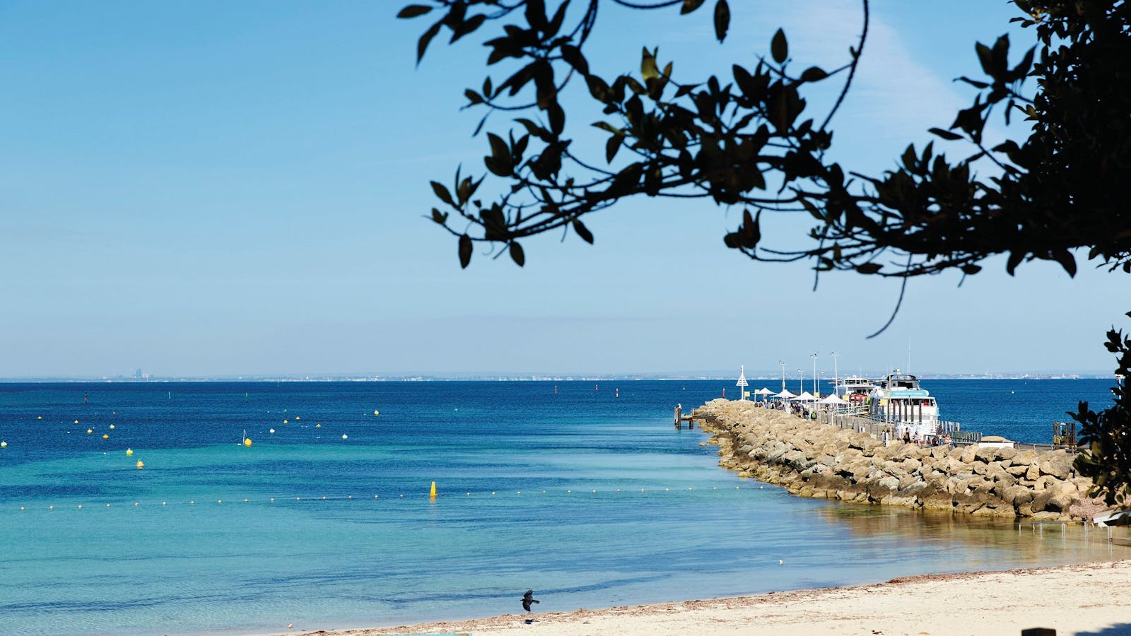 Thomson Bay