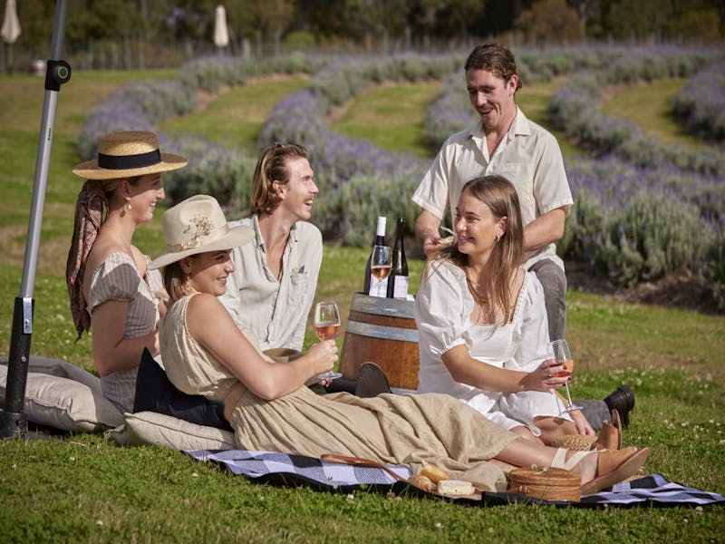 Image for Picnic on Lavender Hill at Sirromet Winery