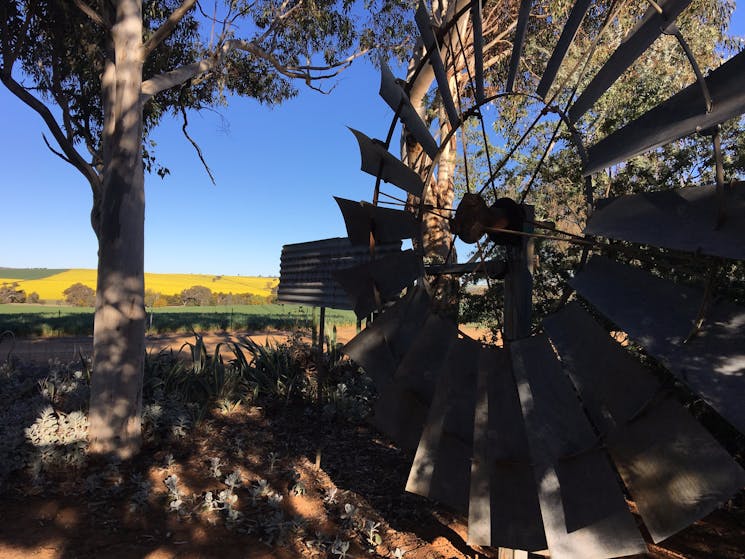 The Rustic Maze near Young