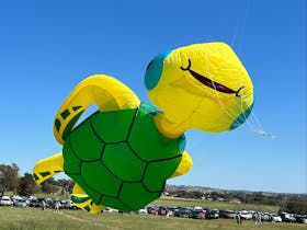 Wallaroo Kite Festival