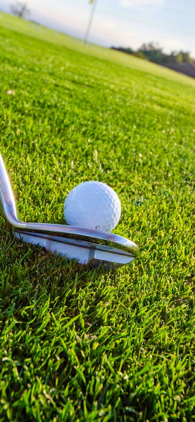 Golf club lining up shot on golf ball on green grass