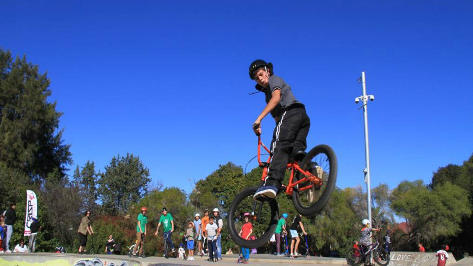 Wellington Skate Park