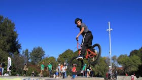 Wellington Skate Park