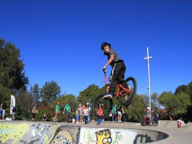 Wellington Skate Park