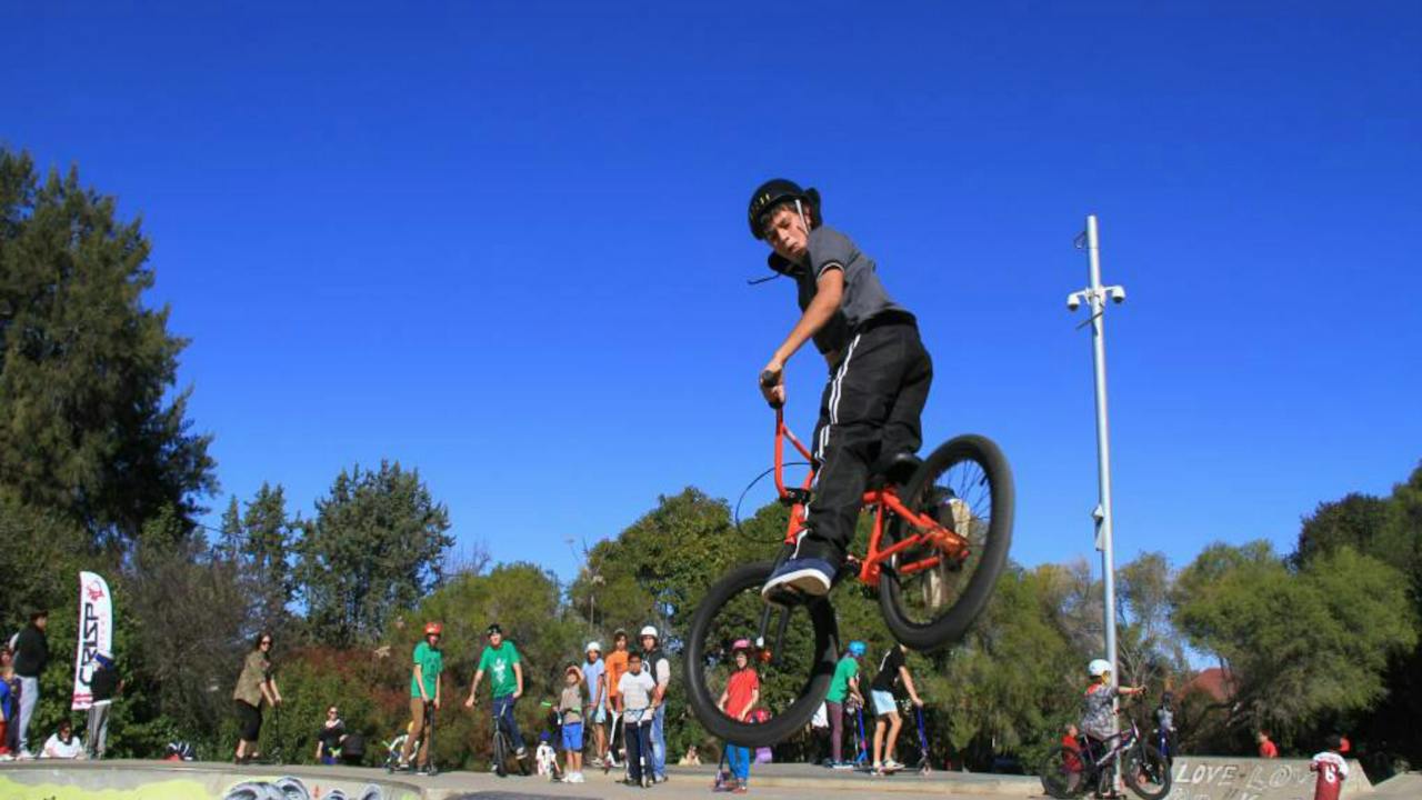Wellington Skate Park