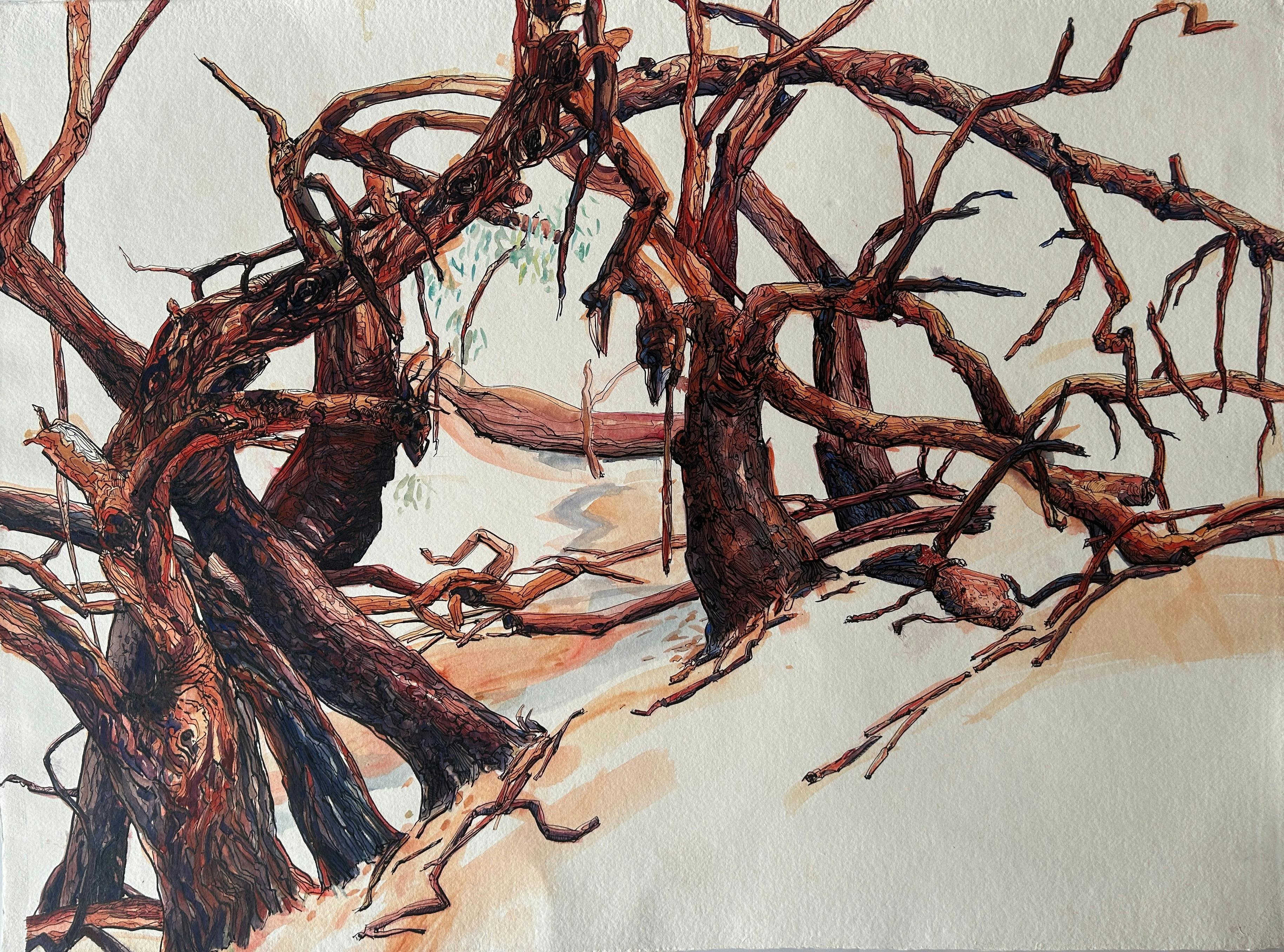 On the banks of the Richardson River