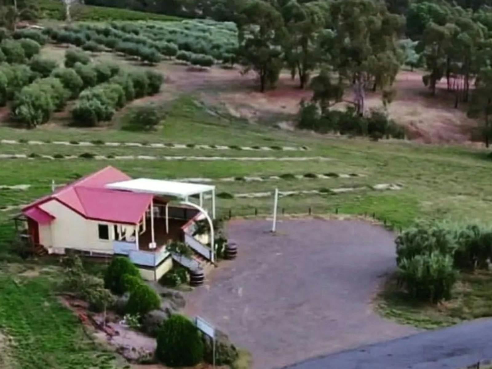 Cellar Door at Gooramadda Olives