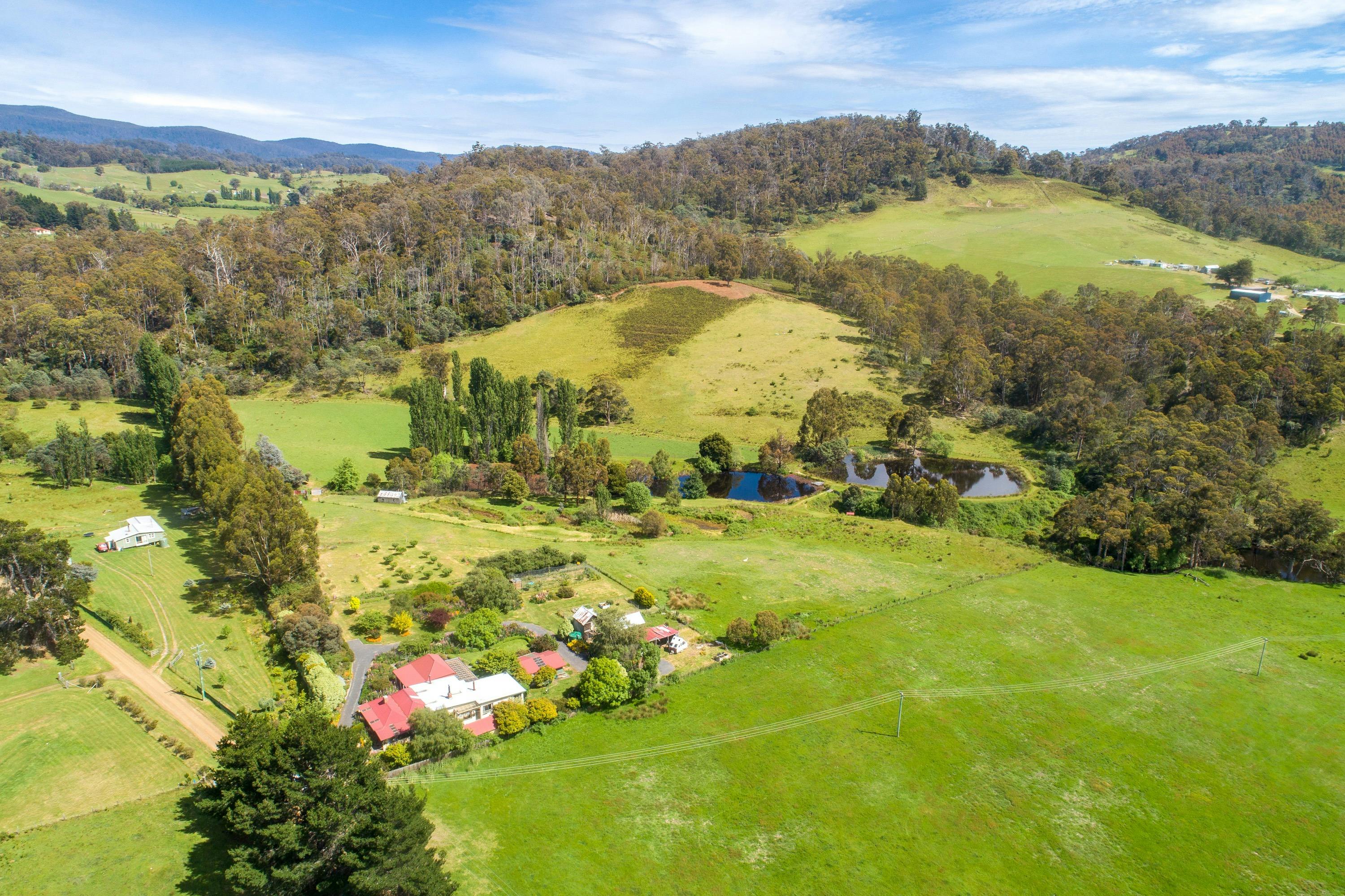 Hamlet Downs Country Accommodation